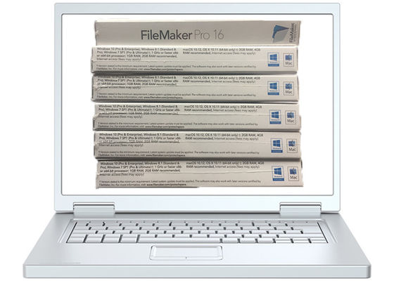 Chiny FPP Retail Box Filemaker Pro Advanced dla Win 10 Kod aktywacyjny / Link do pobrania dostawca